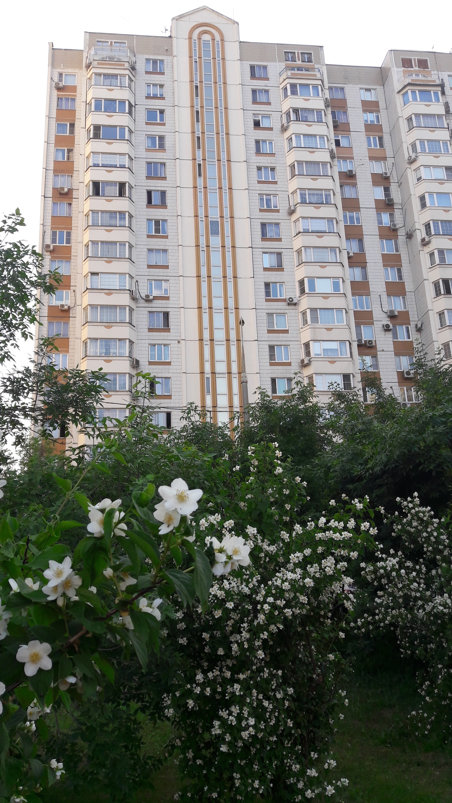 Рента